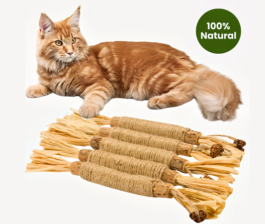 Verdura Natural Cat Dental Sticks
